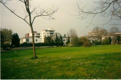 Luxus-Schwalbennest mit Eifelblick im grünen Kern von Düren