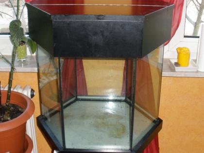 6-Eckiges Aquarium