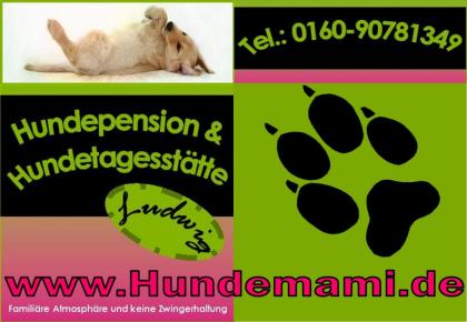 Kleine aber feine Hundepension ohne Zwinger mit 100 Familienanschluss
