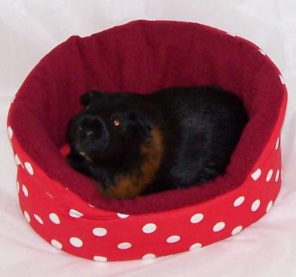 Kuschelbettchen plus 1 Kissen für Meerschweinchen Chinchilla Kleintiere