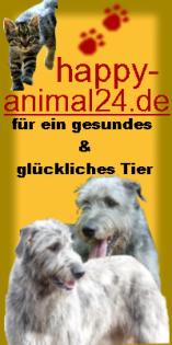 Frißt Ihr Hund nicht mehr richtig und mäkelt nur noch
