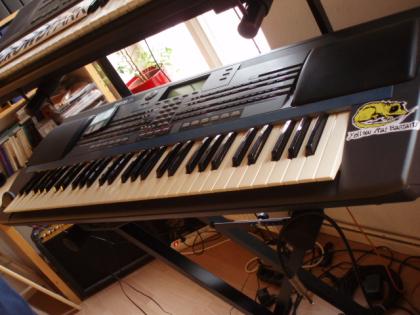 Farfisa F5 Synthesizer Keyboard Workstation mit Full MIDI