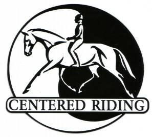 Effektive und nachhaltige Grundausildung für Dressur- Western- und Springpferde