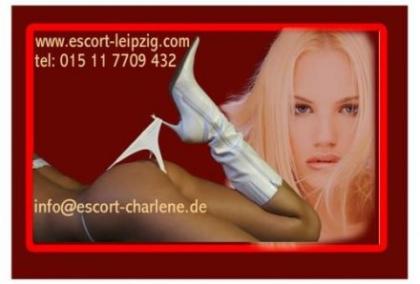 Escortagentur Charlene sucht attraktive charmante Männer und Frauen