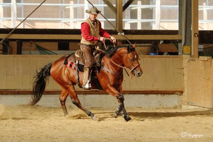 Bosals Mecaten Headsets Reins Ropes Bits Westernsättel