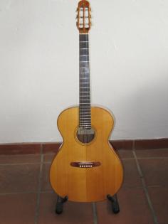 Westerngitarre S5 von Albert Müller