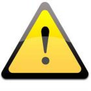 Perserbaby schwarz weiblich langhaar -SUCHE-