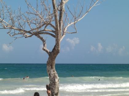 Tauchen in Diani Beach Kenia buchen Sie einen Urlaub in Kenia