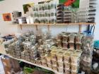 40 verschiedene Futtertiere aus Erfurt.