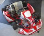 Birel 6-Gang Schaltkart Tm Motor ca. 43 PS